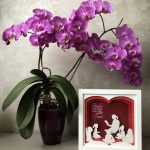 Invatatoare/Educatoare 001