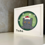 Pisica 001 – Craciun