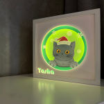 Pisica 001 – Craciun